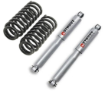 Picture of Trailblazer Lowering Kit (Rear Only)